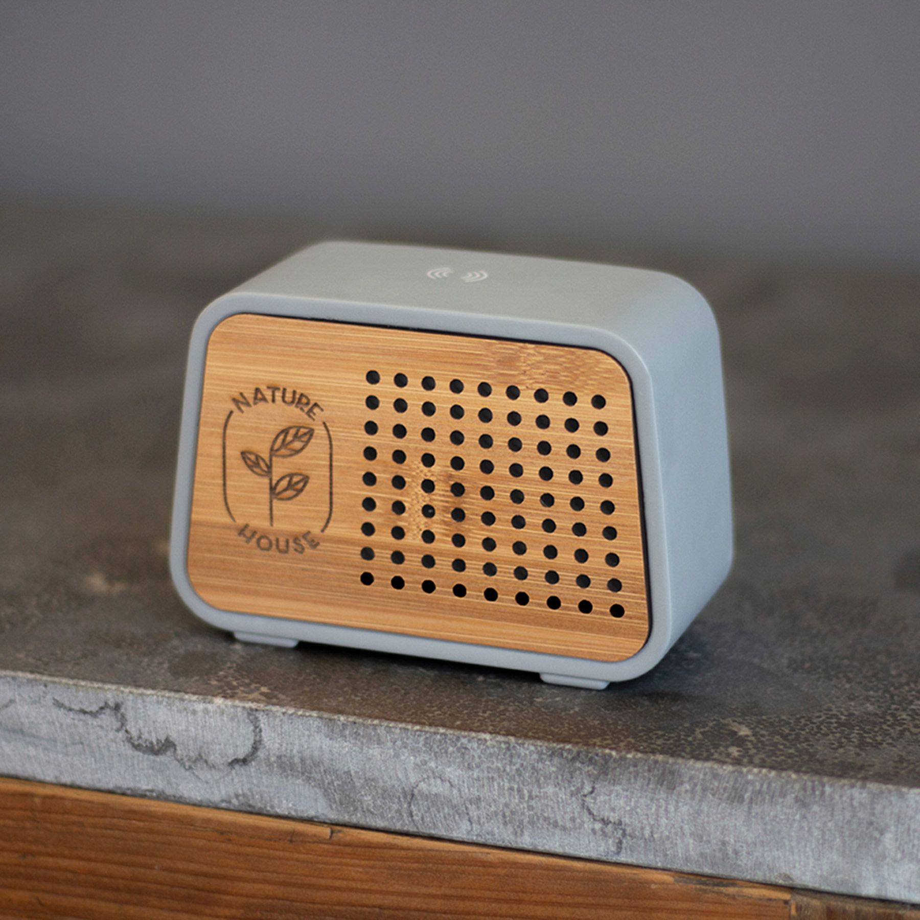 Speaker